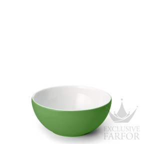 2020600042 Dibbern Solid Color "Apfelgrün" Чаша 17см