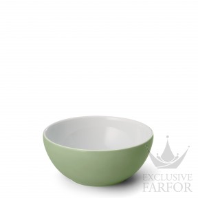 2020600057 Dibbern Solid Color "Khaki" Чаша 17см