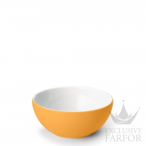 2020600061 Dibbern Solid Color "Mandarine" Чаша 17см