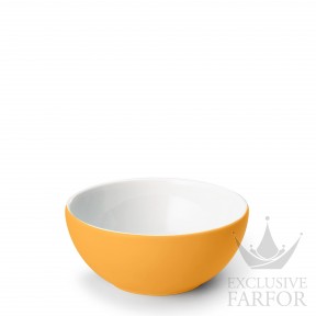 2020900061 Dibbern Solid Color "Mandarine" Чаша 20см