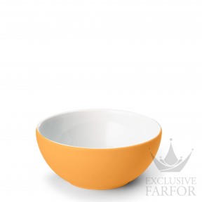 2021100061 Dibbern Solid Color "Mandarine" Чаша 23см
