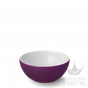 2020600025 Dibbern Solid Color "Pflaume" Чаша 17см