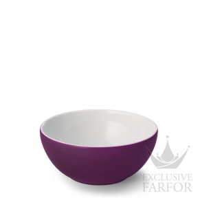 2020900025 Dibbern Solid Color "Pflaume" Чаша 20см