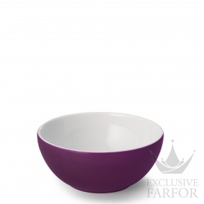 2021100025 Dibbern Solid Color "Pflaume" Чаша 23см