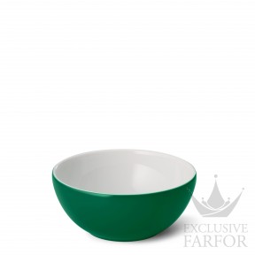 2020900046 Dibbern Solid Color "Tannengrün" Чаша 20см