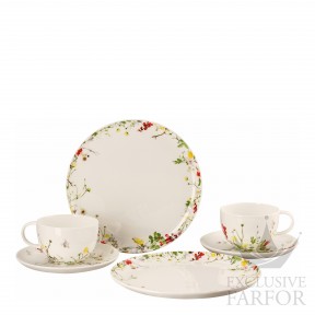 10530-405101-28597 Rosenthal Brillance Fleurs Sauvages Набор из 6 предметов 6 предметов