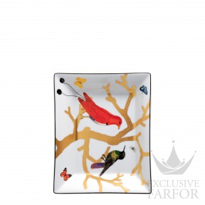 2488-4511 Bernardaud Aux Oiseaux Блюдо прямоугольное 20x16см