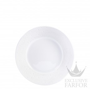 0733-53 Bernardaud Ecume Чаша для овощей 24см
