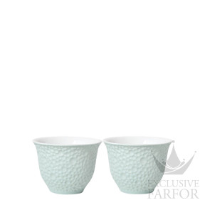 2634-23914 Bernardaud Ecume Vert Чашка эспрессо 50мл, 2шт.