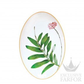 0488-107 Bernardaud Jardin Indien Блюдо овальное 38см