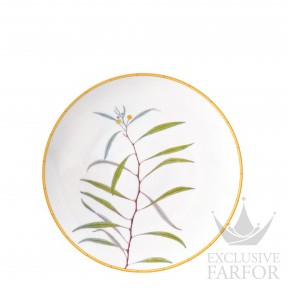 0488-21259 Bernardaud Jardin Indien Тарелка главная 26см