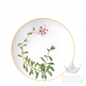 0488-21266 Bernardaud Jardin Indien Тарелка глубокая 29см