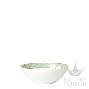 1799-24675BernardaudPraianaЧаша для мюсли 17см