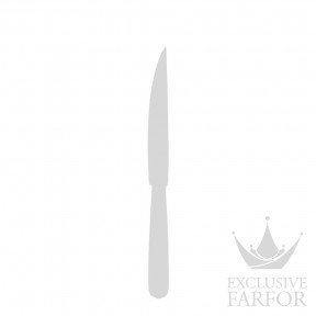 00941030 Christofle Talisman Sur Mesure "Серебро + сплошная позолота" Нож для стейков 24,5см