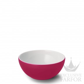 2020600023 Dibbern Solid Color "Himbeere" Чаша 17см