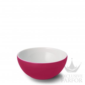 2020900023 Dibbern Solid Color "Himbeere" Чаша 20см