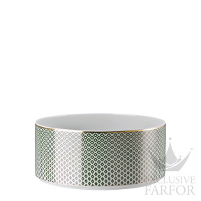 10460-404313-13323 Rosenthal Francis Carreau Vert Салатник 23см
