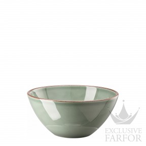 10660-405405-10569 Rosenthal Profi Casual Moss Чаша бульонная  22см