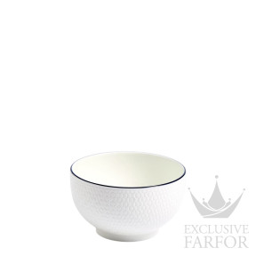 1079128 Wedgwood Gio Blue Line Чаша 11см