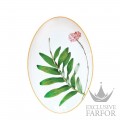 0488-107 Bernardaud Jardin Indien Блюдо овальное 38см