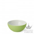 2020600040 Dibbern Solid Color "Maigrün" Чаша 17см