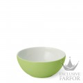 2020900040 Dibbern Solid Color "Maigrün" Чаша 20см