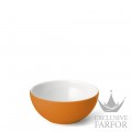 2020600014 Dibbern Solid Color "Orange" Чаша 17см