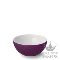 2020600025 Dibbern Solid Color "Pflaume" Чаша 17см