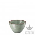 10660-405405-10562 Rosenthal Profi Casual Moss Чаша бульонная  13см