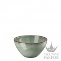 10660-405405-10568 Rosenthal Profi Casual Moss Чаша бульонная  17см