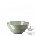 10660-405405-10569 Rosenthal Profi Casual Moss Чаша бульонная  22см