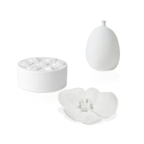 Jardin De Table